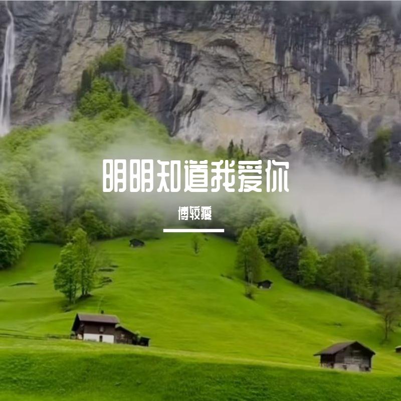 明明知道我爱你封面