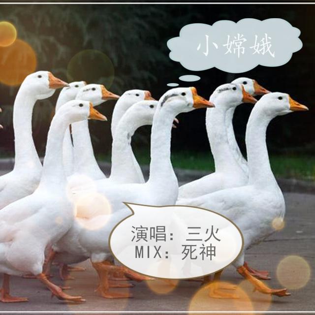 song-img