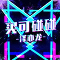 摇摆绅士 (DJ版)封面
