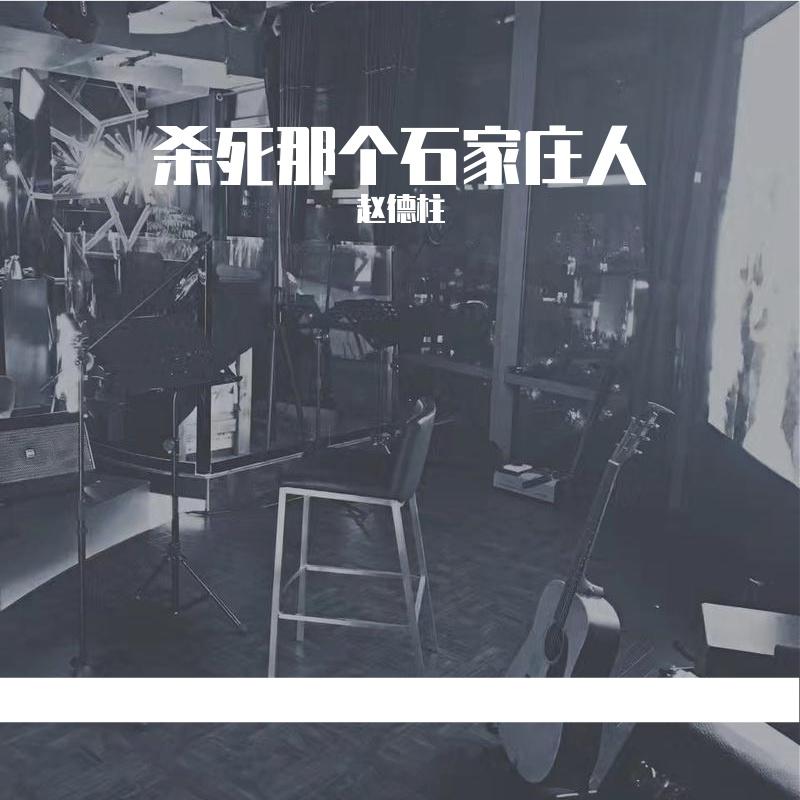 杀死那个石家庄人封面