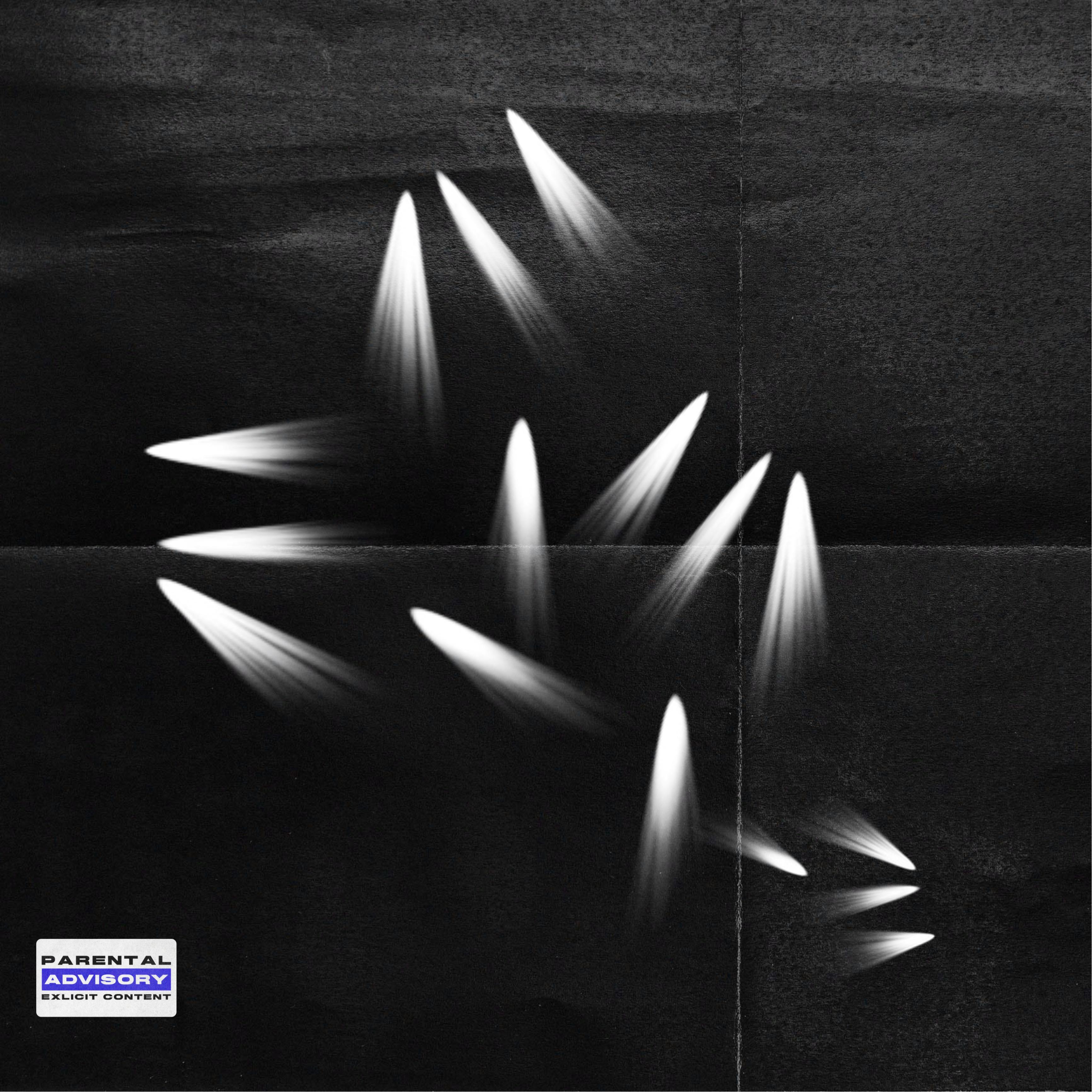 也许有一天我也会闪闪发光