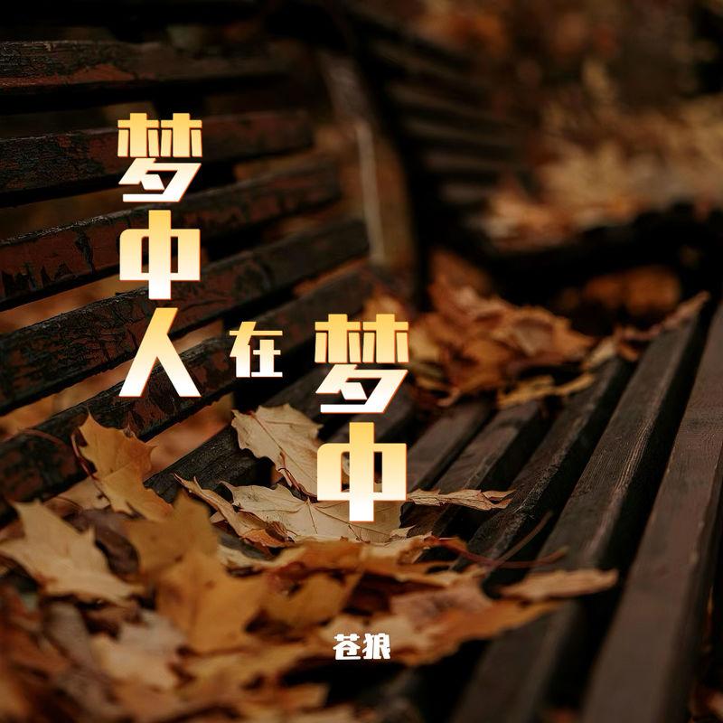 梦中人在梦中 - 苍狼封面