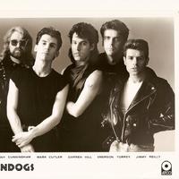 The Raindogs