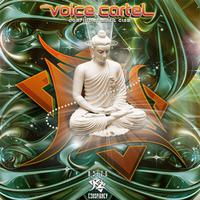 Voice Cartel