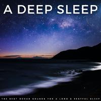 A Deep Sleep: The Best Ocean Sounds For A Long & Restful Sleep