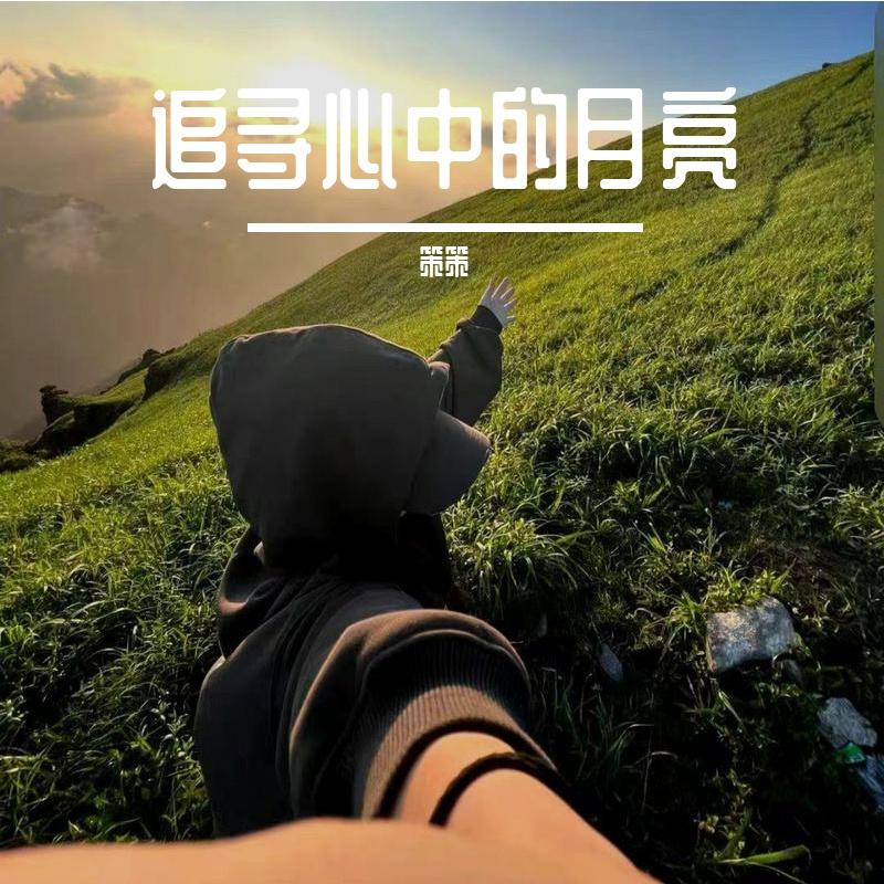 追寻心中的月亮 - 策策封面
