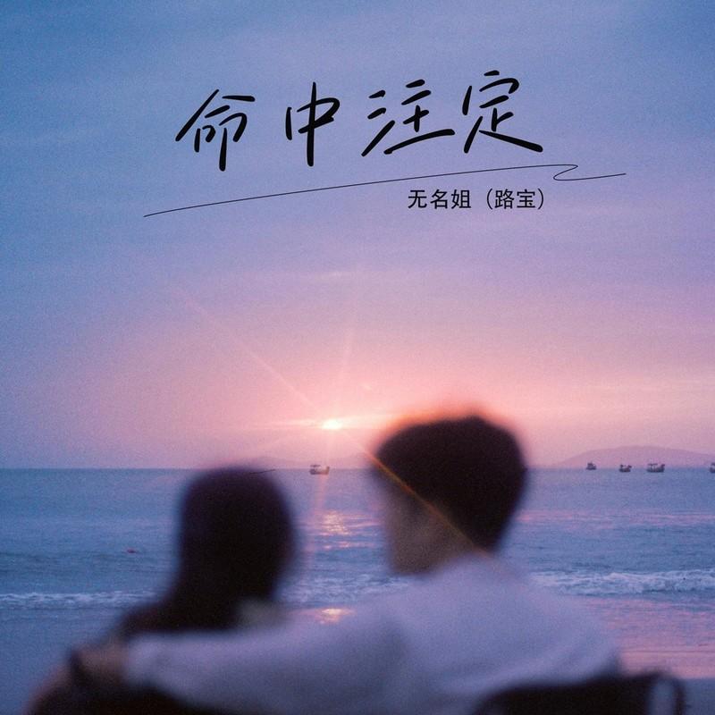命中注定 (DJ版伴奏)封面
