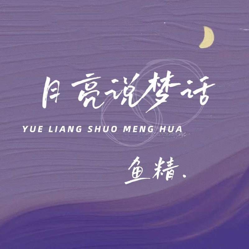 月亮说梦话 (DJ默涵版伴奏)封面