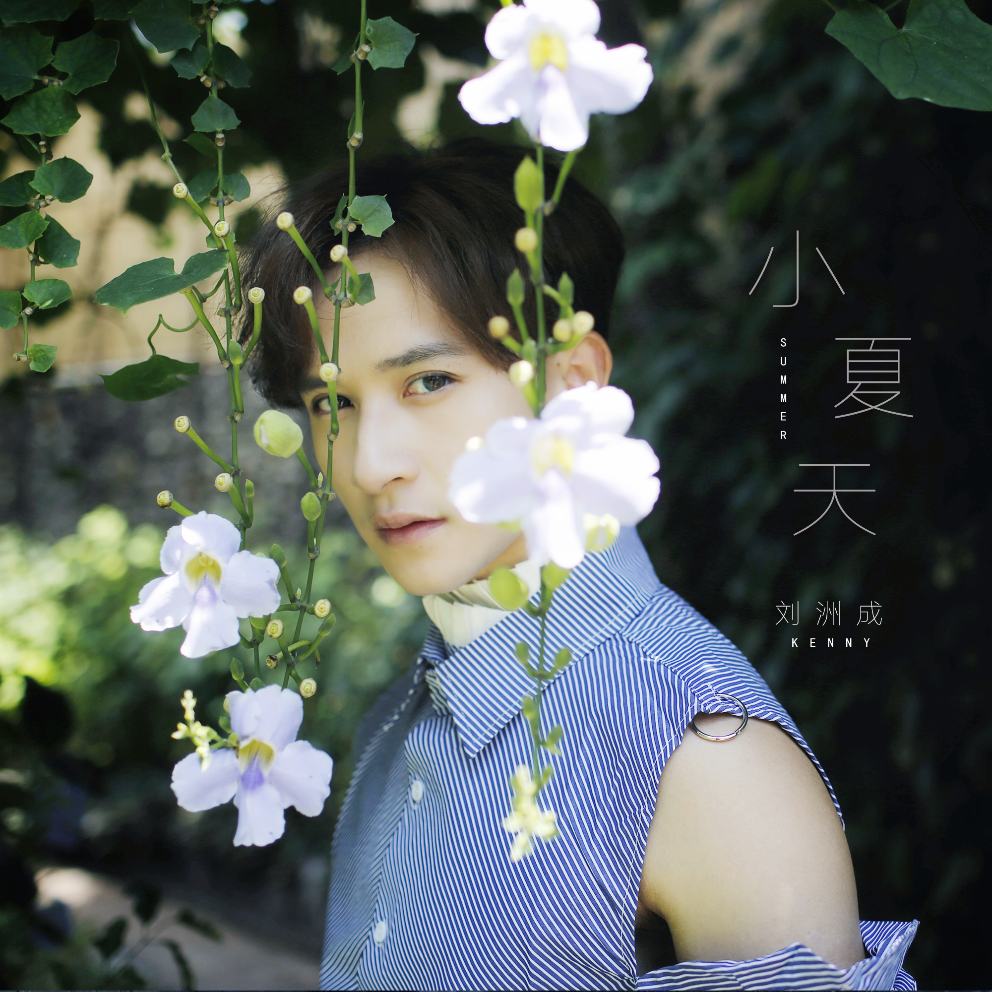 小夏天_刘洲成_小夏天 | 在线播放_小夏天歌词_小夏天下载 | 网易云音乐