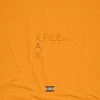 X.FILE BETA