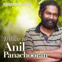 Tribute To Anil Panachooran (Hits of Anil Panachooran)