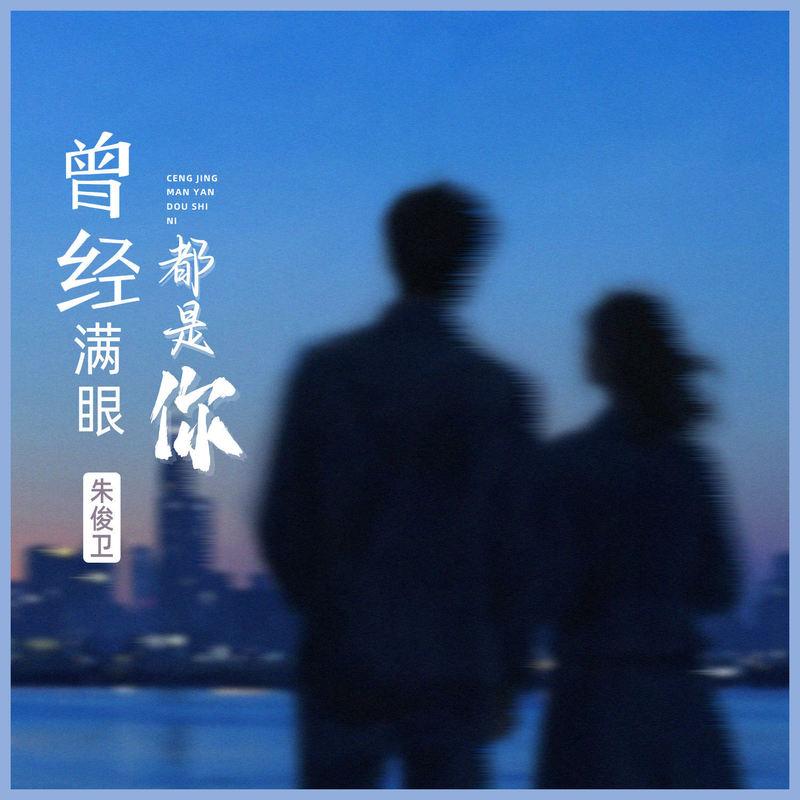 曾经满眼都是你封面