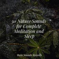 50 Nature Sounds for Complete Meditation and Sleep