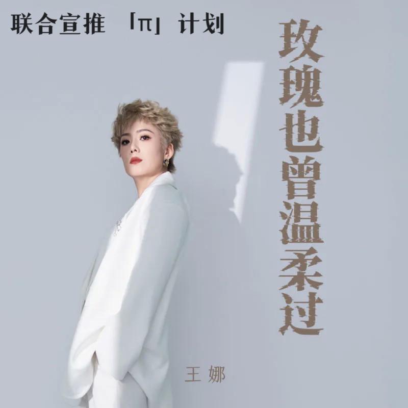 玫瑰也曾温柔过 (DJ慢摇版) - 王娜封面