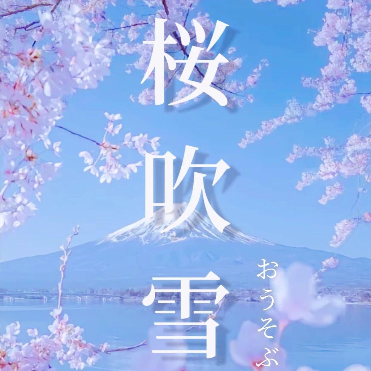 樱吹雪封面