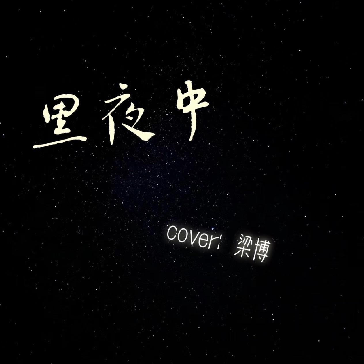 黑夜中（cover：梁博）封面