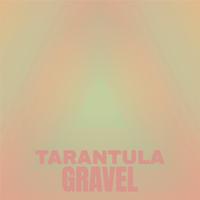 Tarantula Gravel