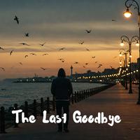 The Last Goodbye