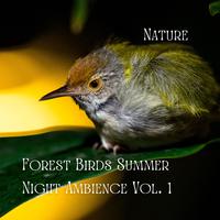 Nature: Forest Birds Summer Night Ambience Vol. 1