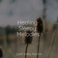 Healing Sleepy Melodies For Dogs