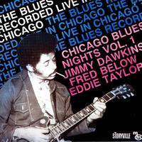 Chicago Blues Nights Vol. 1