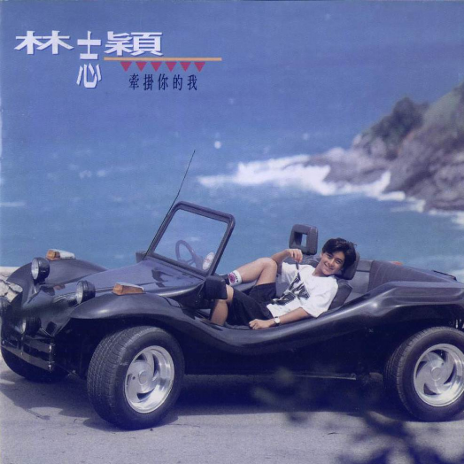 林志颖
