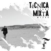 Técnica Mixta