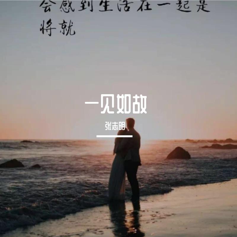 一见如故封面