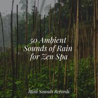 50 Ambient Sounds of Rain for Zen Spa