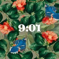9:01
