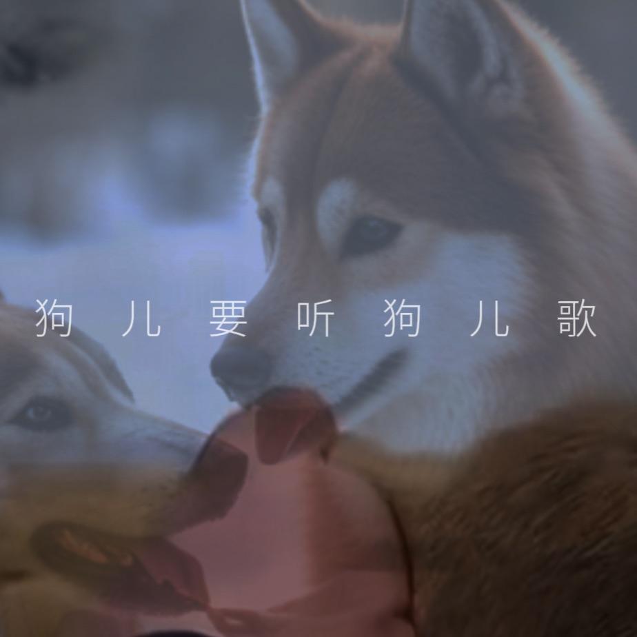 土坡上的狗尾草（小黄你过得还好吗）