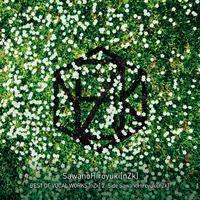 BEST OF VOCAL WORKS [nZk] 2