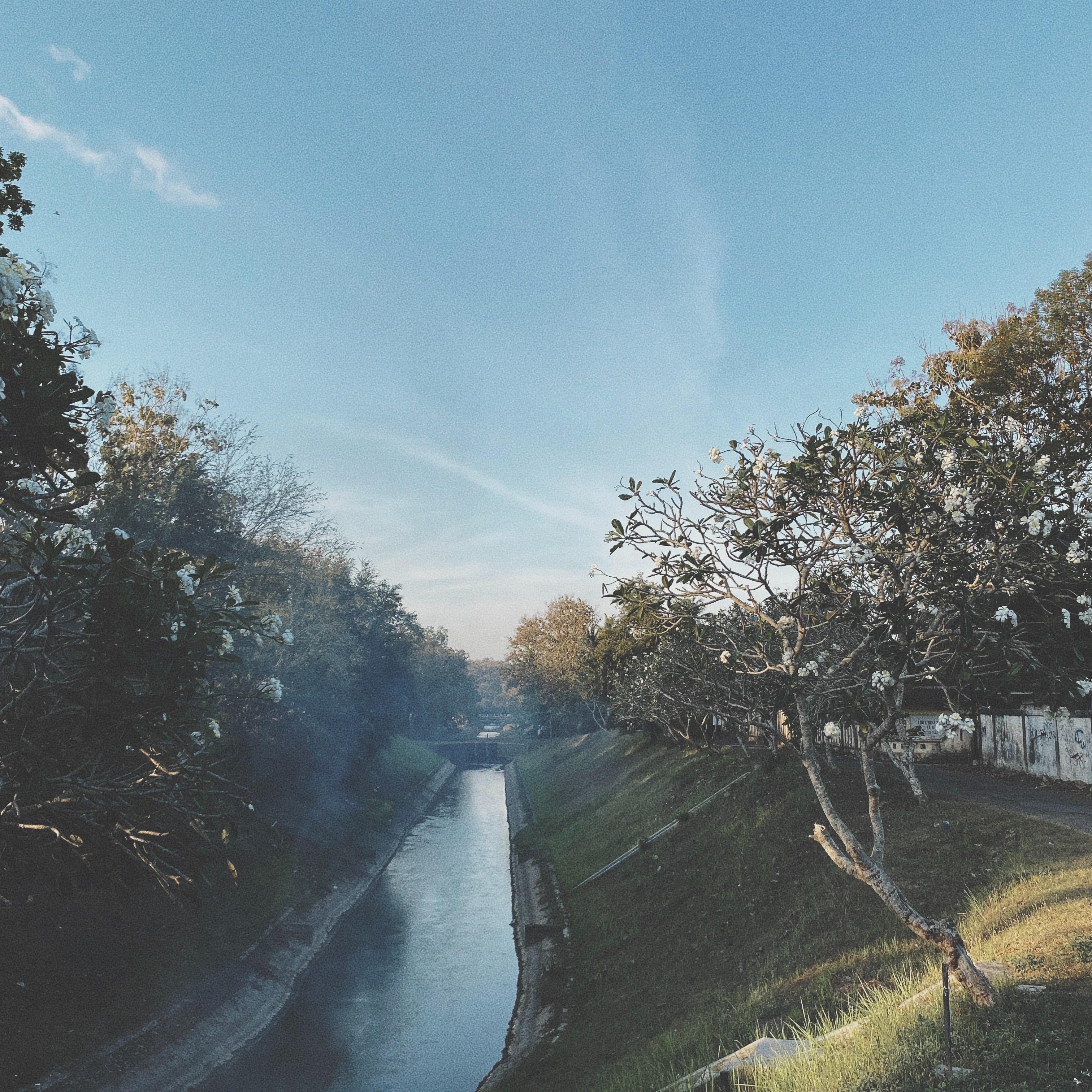 Rachel (Orchestral Bumper)