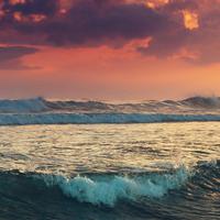 Ocean Nights资料,Ocean Nights最新歌曲,Ocean NightsMV视频,Ocean Nights音乐专辑,Ocean Nights好听的歌