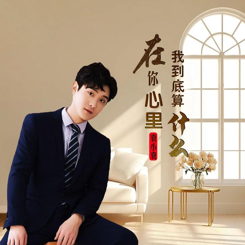 在你心里我到底算什么(DJ版) - 袁小袁封面