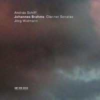 Brahms: Sonata for Clarinet and Piano No. 2 in E Flat Major, Op. 120 No. 2: 3. Andante con moto - Allegro