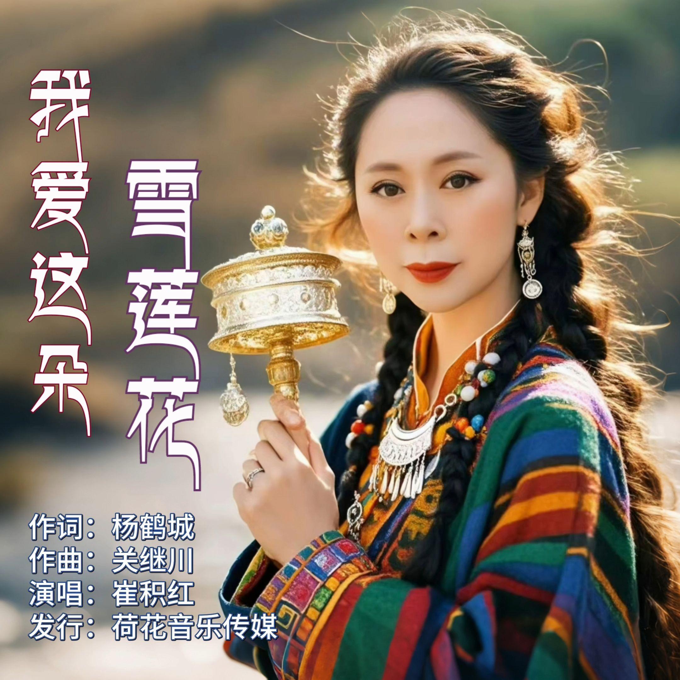 我爱这朵雪莲花封面