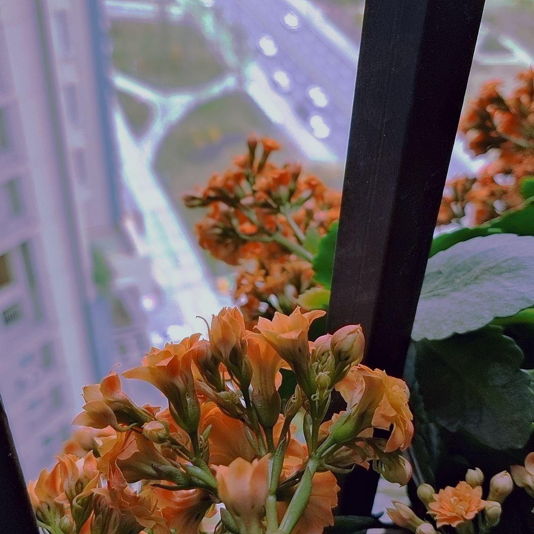 最好的我(合唱Cover版)