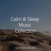 Calm & Sleep Music Collection For Dogs