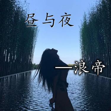 花手摇  (DJ版)封面
