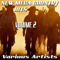 New Mega Country Hits, Vol. 2