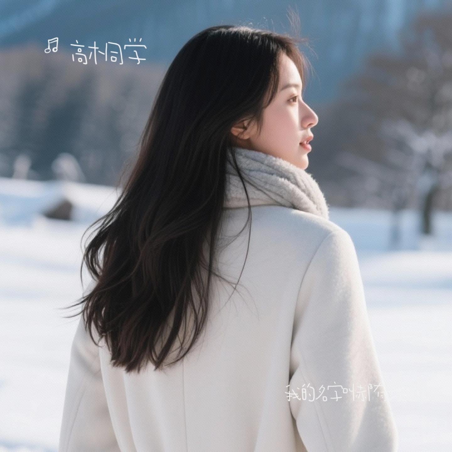 我的名字叫郝有才封面