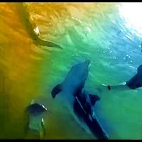 Kingu资料,Kingu最新歌曲,KinguMV视频,Kingu音乐专辑,Kingu好听的歌