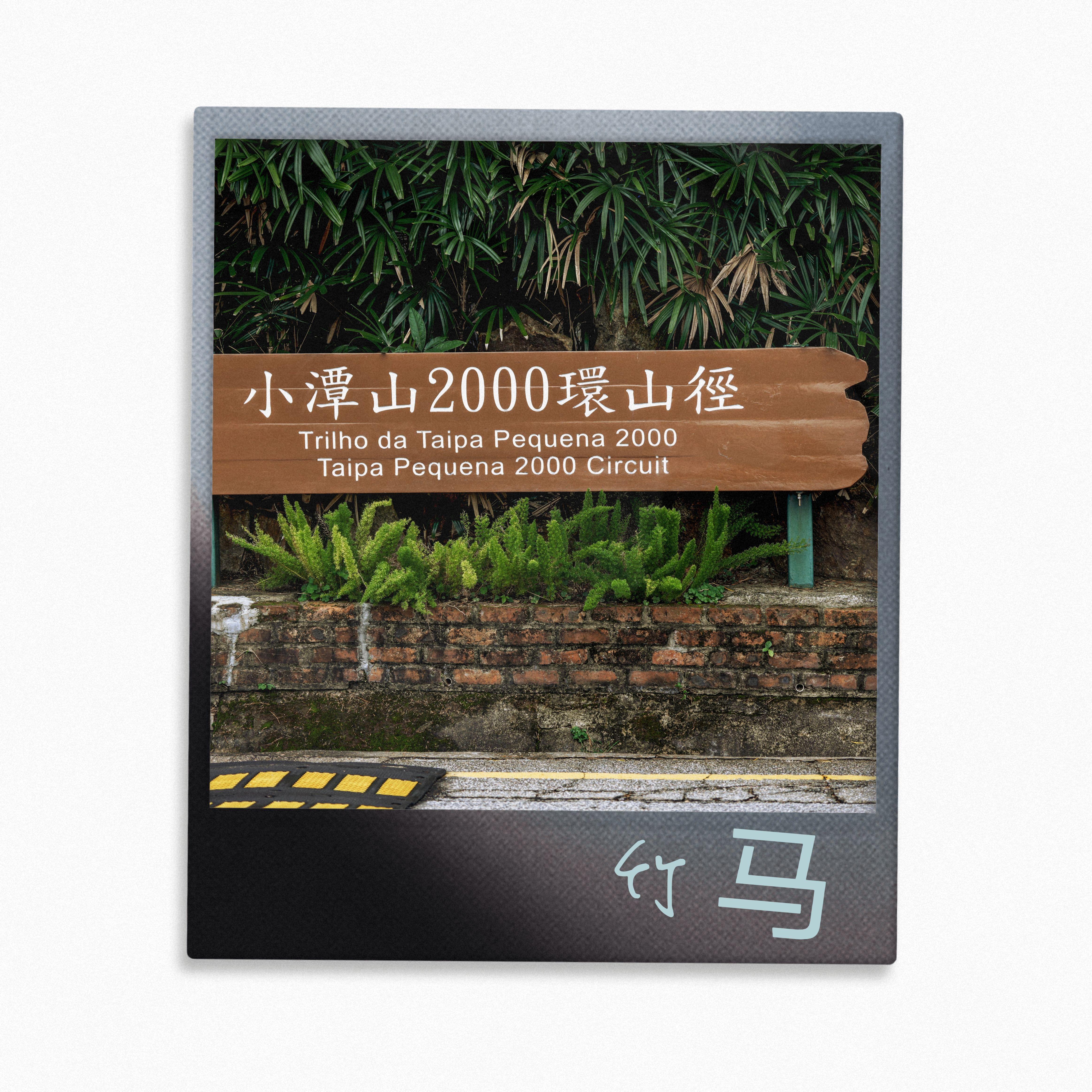 竹马——清明谷雨《小潭山没有天文台》同人歌封面