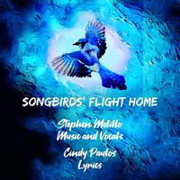 Songbirds' flight Home