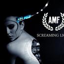 AMF-Band