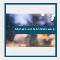 Birds and Light Rain Sounds, Vol. 8