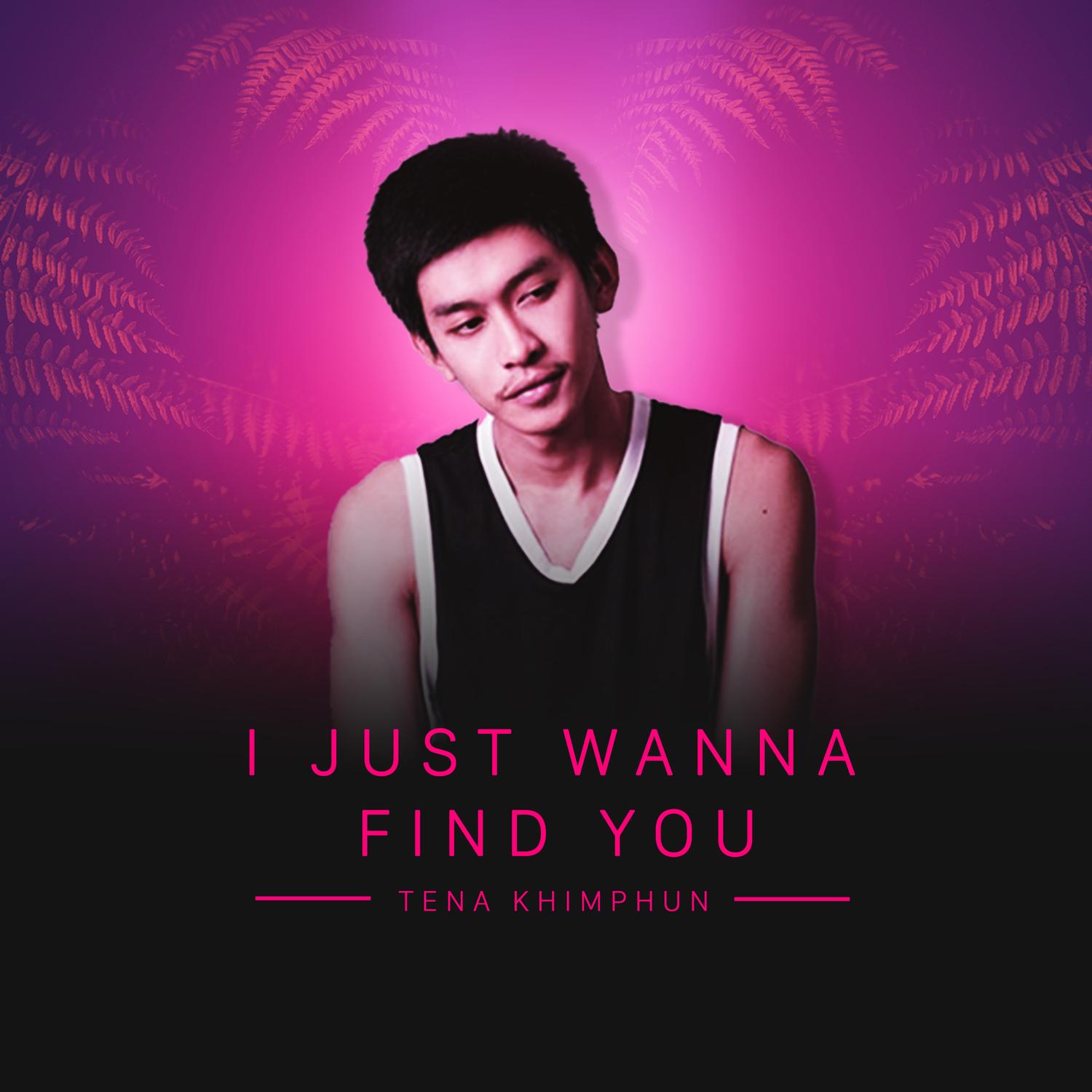 I Just Wanna Find You