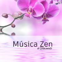 Música de Meditação