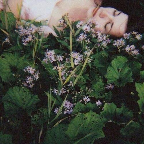 Between Flowers And Sleeping Words_Blure_Between Flowers And Sleeping Words | 在线播放_Between Flowers And Sleeping Words歌词_Between Flowers And Sleeping Words下载 | 网易云音乐